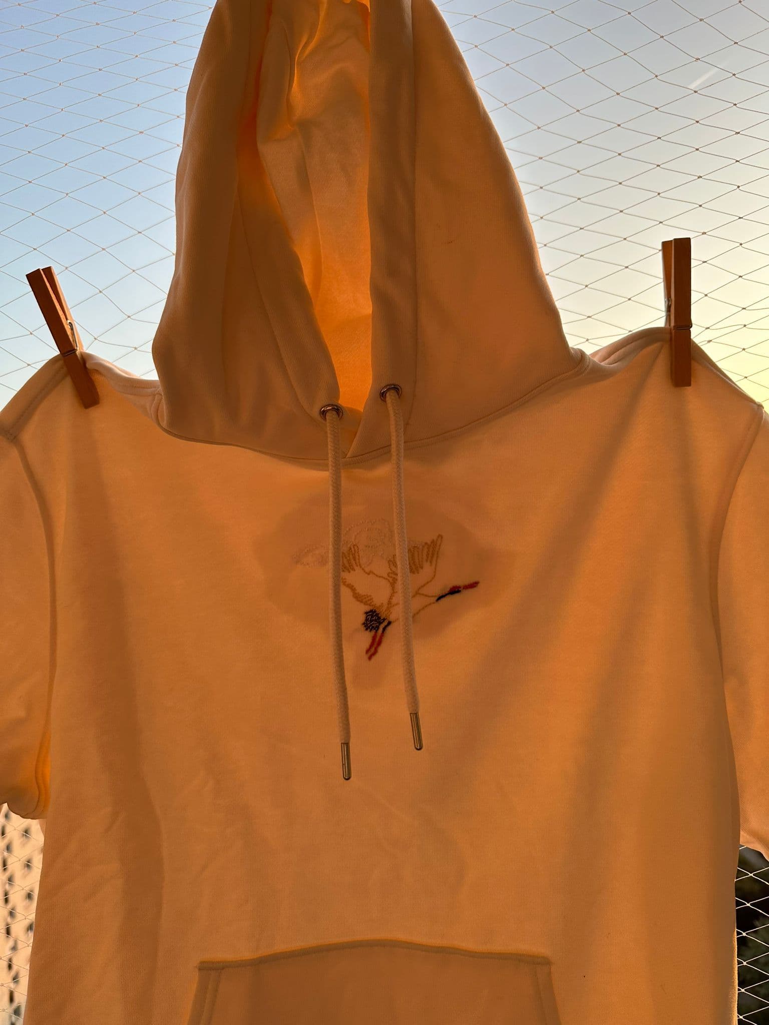 Pull - Grue printemps